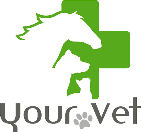 YourVet